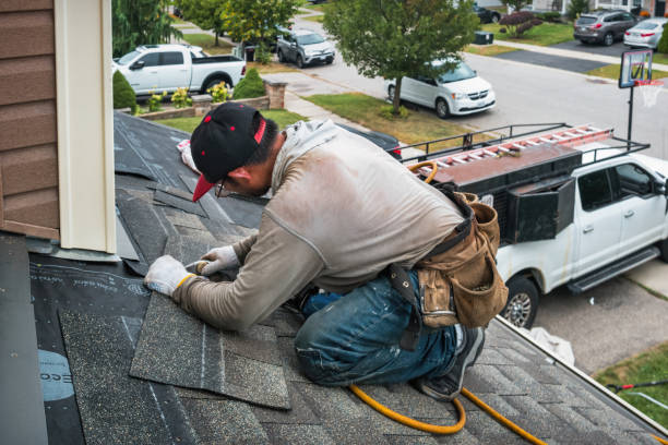 Professional Gutter Repair And Installation technician working in Belleview, FL